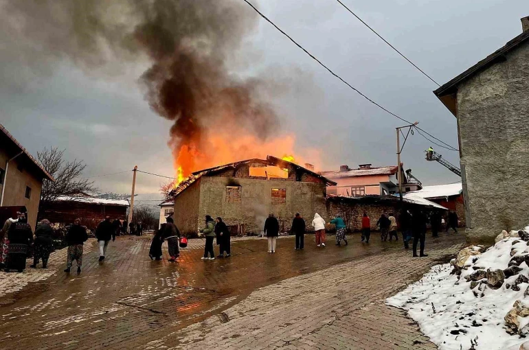 Domaniç’te ahır yangını korkuttu 