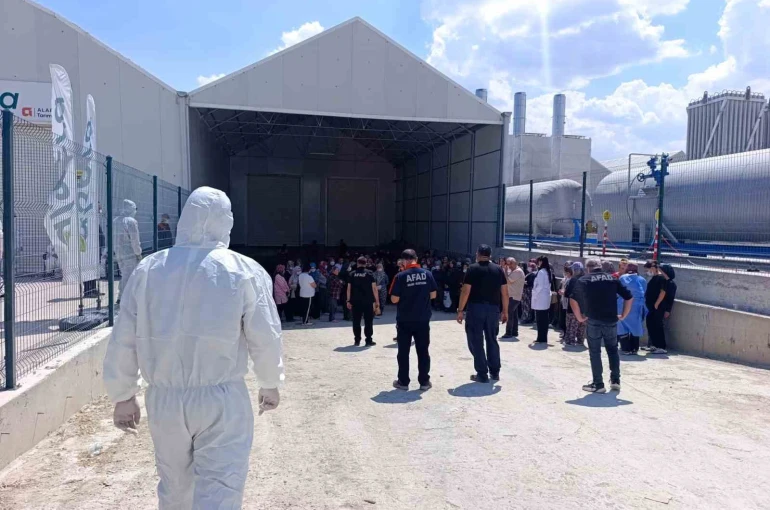 Domates serasında zehirlenme: 10 çalışan hastaneye kaldırıldı