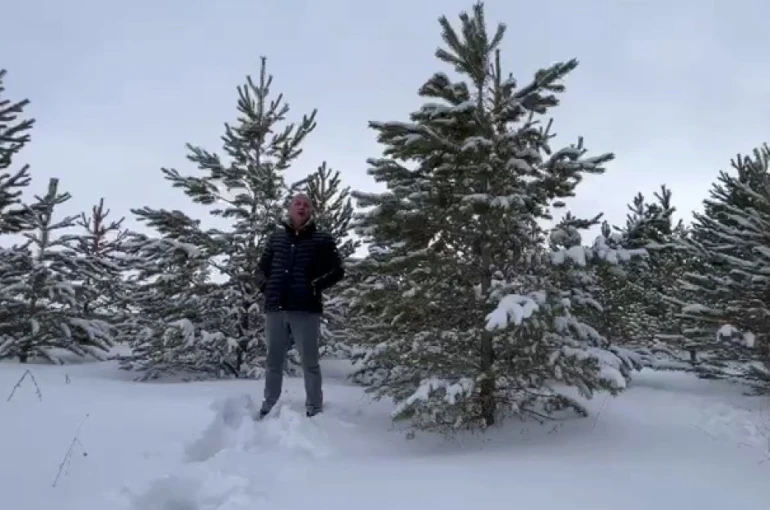 Dondurucu soğuğa aldırış etmeden akarsuya girdi 