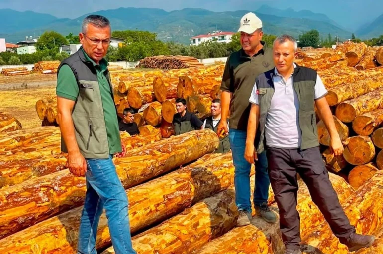 Dörtyol’da orman işletmesinin çalışmaları değerlendirildi