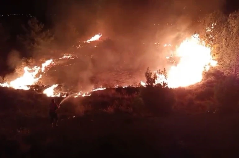 Düğün sırasında çalılık alanda yangın çıktı: Ormana sıçramadan söndürüldü 