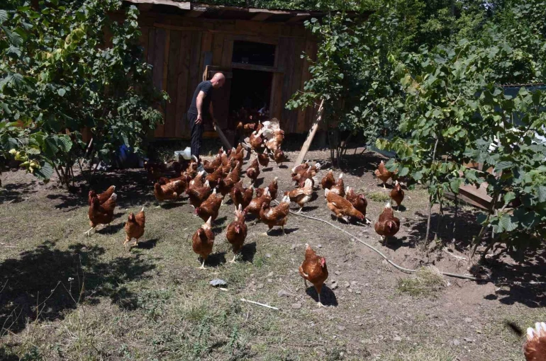 Dükkanını kapattı, köyünde hobi olarak başladığı tavukçulukta müşterilere yetişemiyor