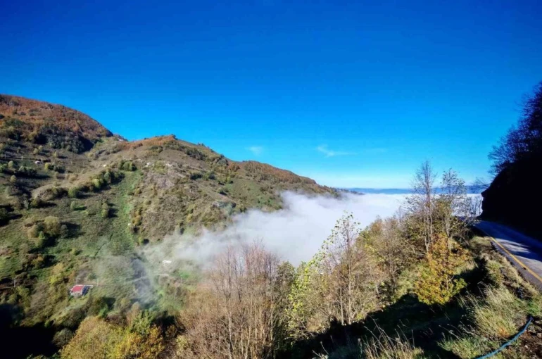 Düzce güne sisle uyandı 