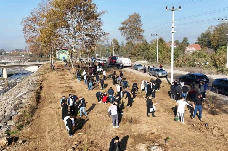 Düzce Üniversitesi’nden yeşil vatan için ağaçlandırma seferberliği 