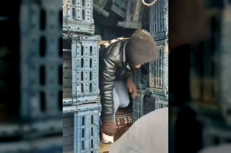 Düzce’de 7 düzensiz göçmen yakalandı 