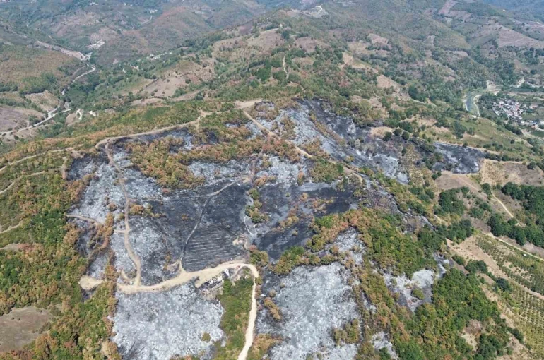 Düzce’deki yangının boyutu havadan görüntülendi 
