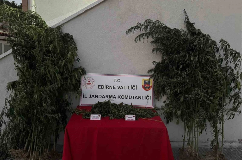 Edirne’de 52 kök kenevir ve 1 kilo 310 gram esrar ele geçirildi: Kenevirleri sularken suçüstü yakalandı
