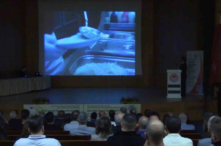 Edirne’de çeltiğin geleceği masaya yatırılıyor 