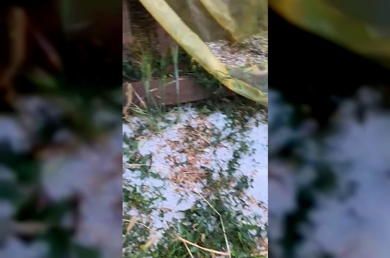 Edirne’de dolu yağışı etkili oldu 
