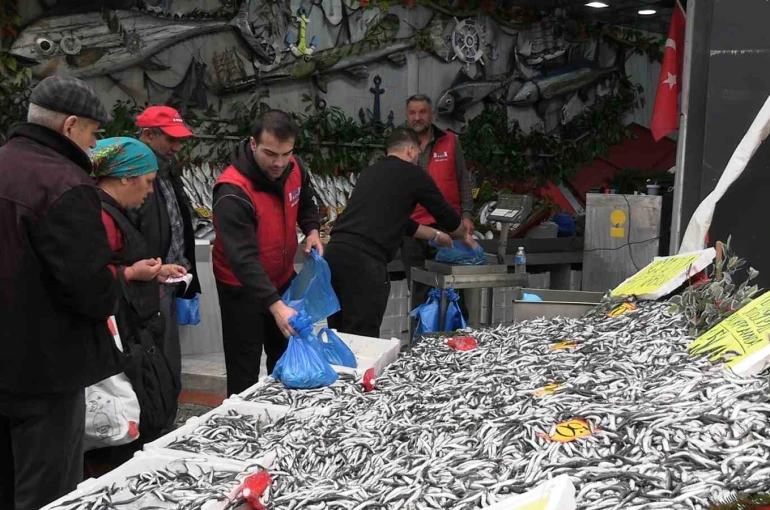 Edirne’de hamsinin kilosu 50 liraya düştü, tezgahlar şenlendi 