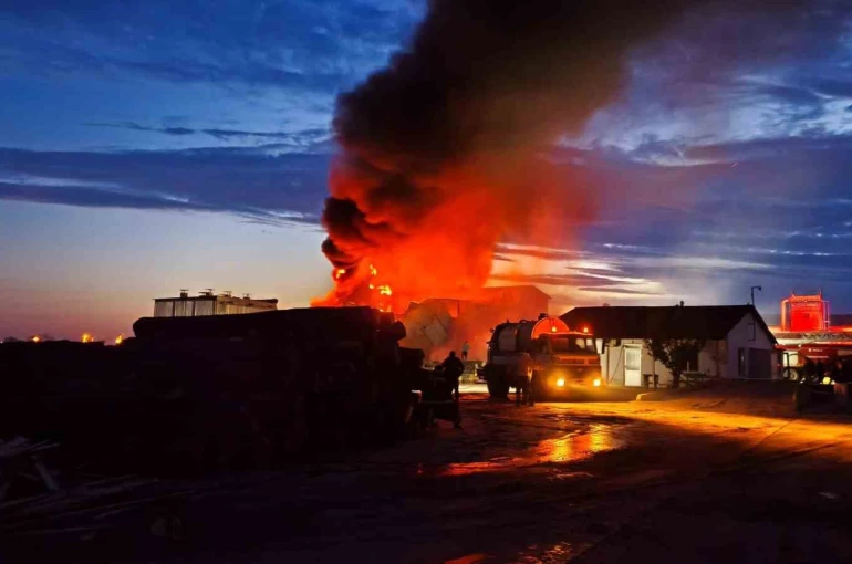 Edirne’de kereste fabrikasında yangın 