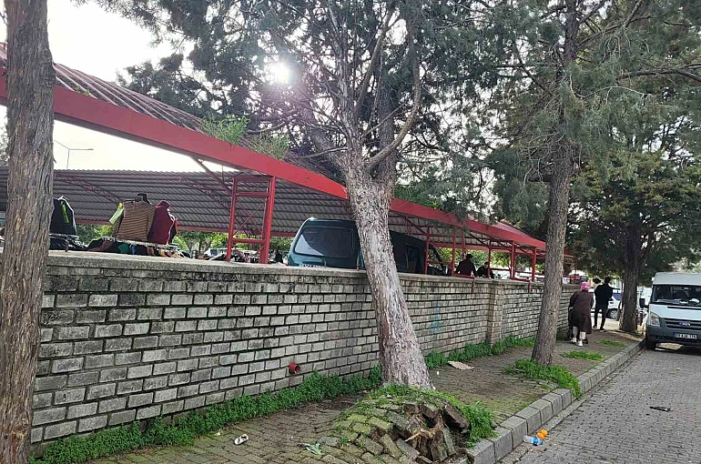 Efekent Pazaryeri’nde rüzgar ağacı devirdi