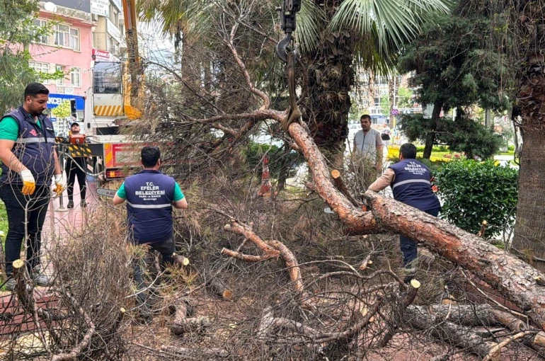 Efeler Belediyesi parkları güvenli hale getiriyor 