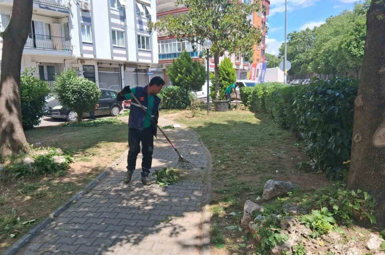 Efeler’de parklar yaza hazırlanıyor 
