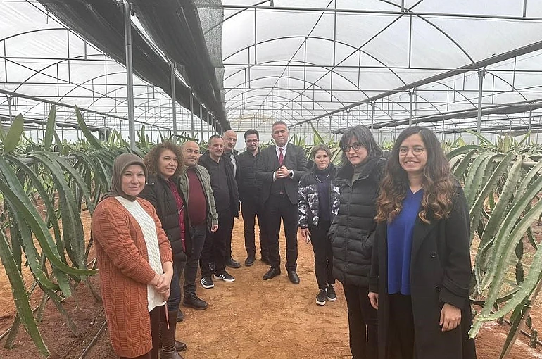 "Efeler’de Pitaya Güçleniyor" projesi incelendi 