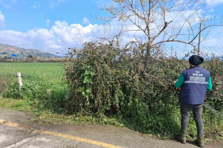 Efeler’in yeşil alanlarında temizlik çalışması sürüyor