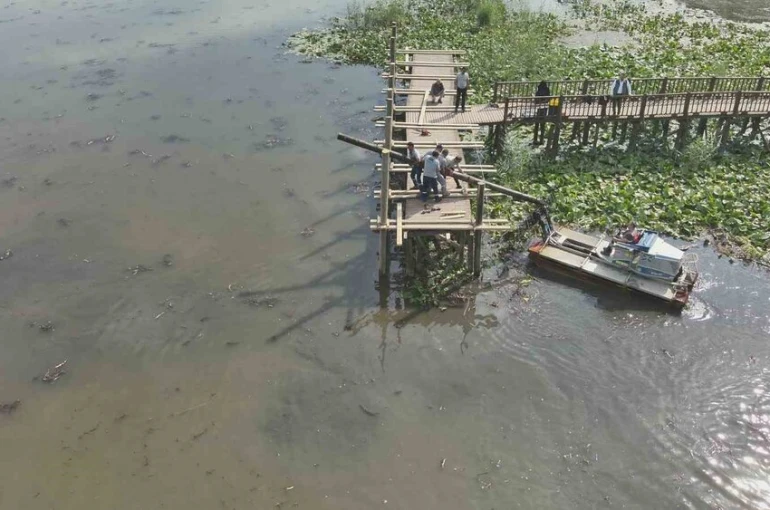 Efteni Gölü ahşap iskelesi yenileniyor