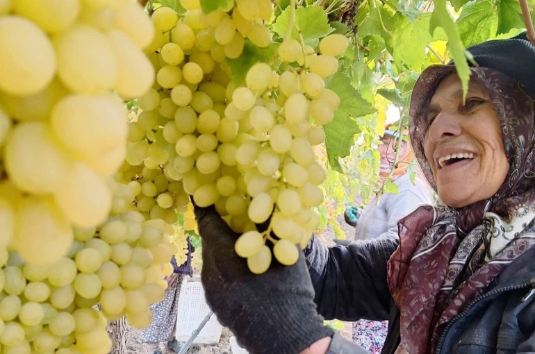 Ekim ayı bitiyor, üzüm bitmiyor