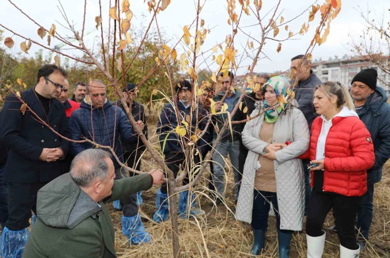 Elazığ’da ağaç budama ve aşılama eğitimi 