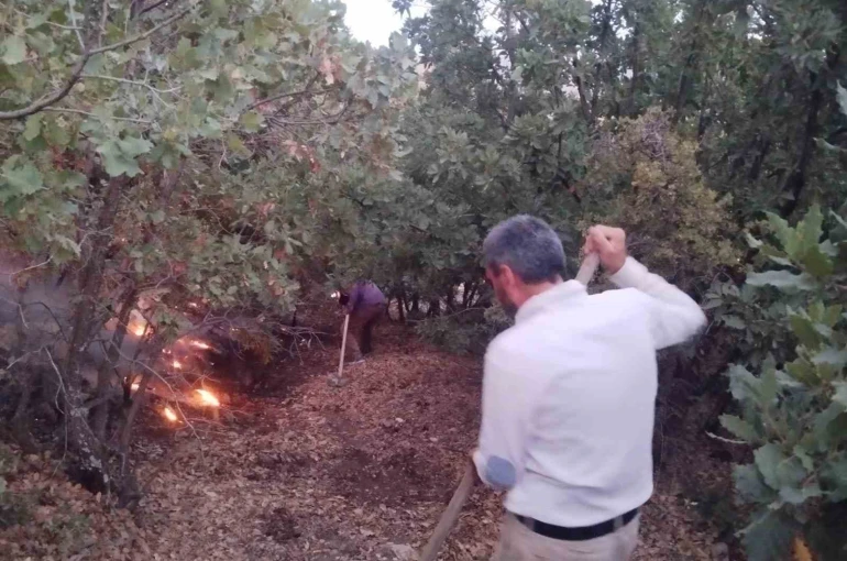 Elazığ’da ağaçlık alanda yangın