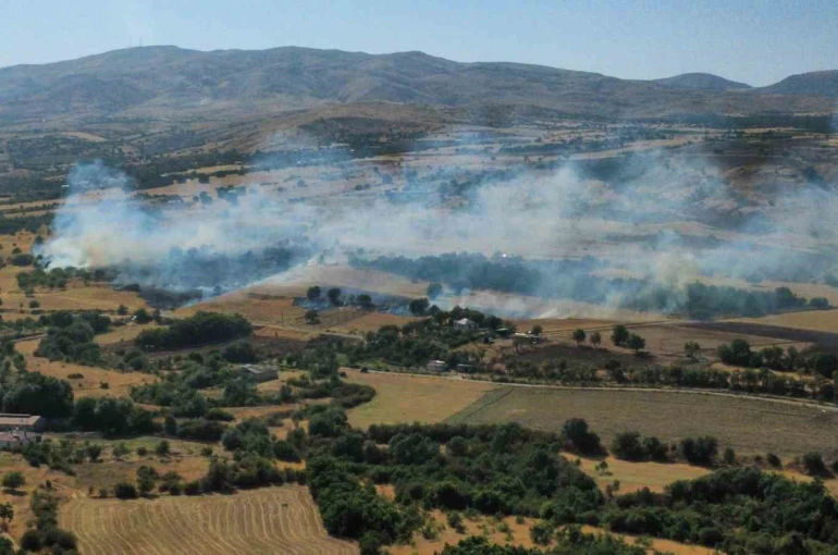 Elazığ’da anız ve bahçe yangını