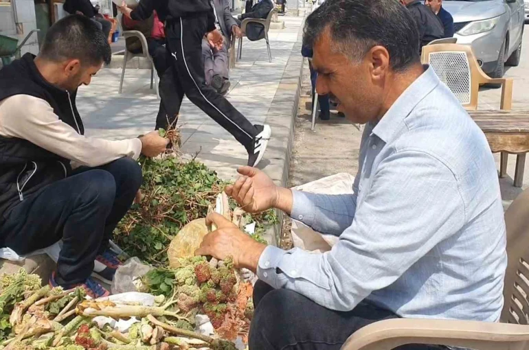 Elazığ’da bahar otları tezgahlarda yerini aldı 