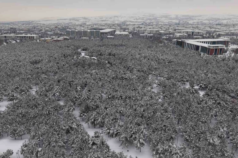 Elazığ’da beton yığınlarının arasındaki beyaz vaha mest etti