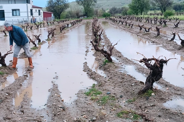 Elazığ’da dolu yağışı sonrası hasar tespit çalışması 