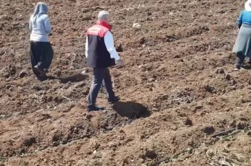 Elazığ’da domates üretiminde yeni sezon başladı 