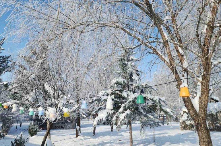 Elazığ’da dondurucu soğuklar: Karakoçan’da termometreler -22’yi gösterdi 