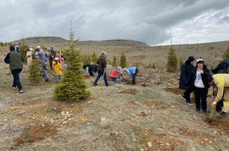 Elazığ’da fidan dikim etkinliği 