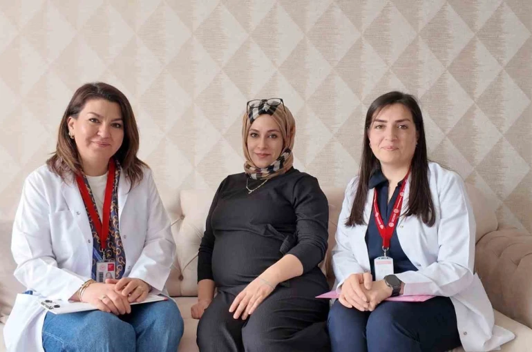 Elazığ’da ’Her Gebeye Bir Ebe’ uygulaması 