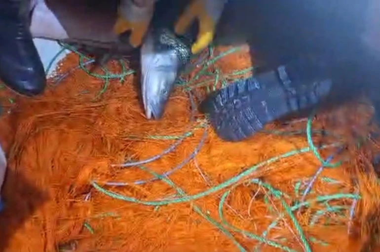 Elazığ’da kaçak avcılara ait 300 metrelik ağ ele geçirildi 