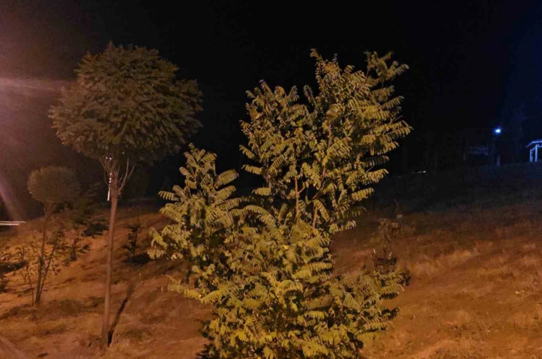 Elazığ’da kuvvetli rüzgar etkisini sürdürüyor