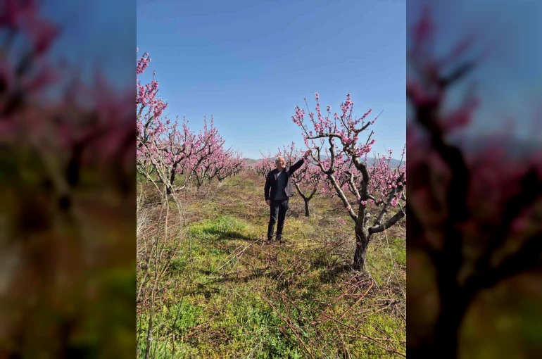 Elazığ’da meyve bahçelerinde entegre mücadele çalışması 