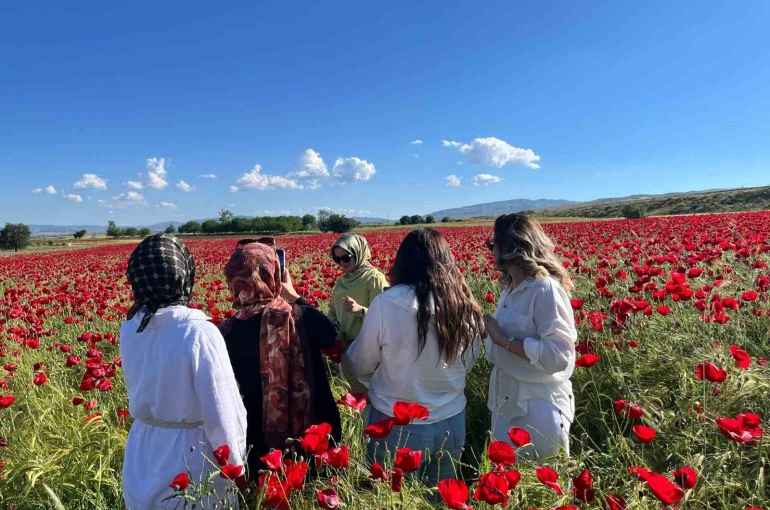 Elazığ’da oluşan doğal gelincik tarlasına vatandaşlar akın etti