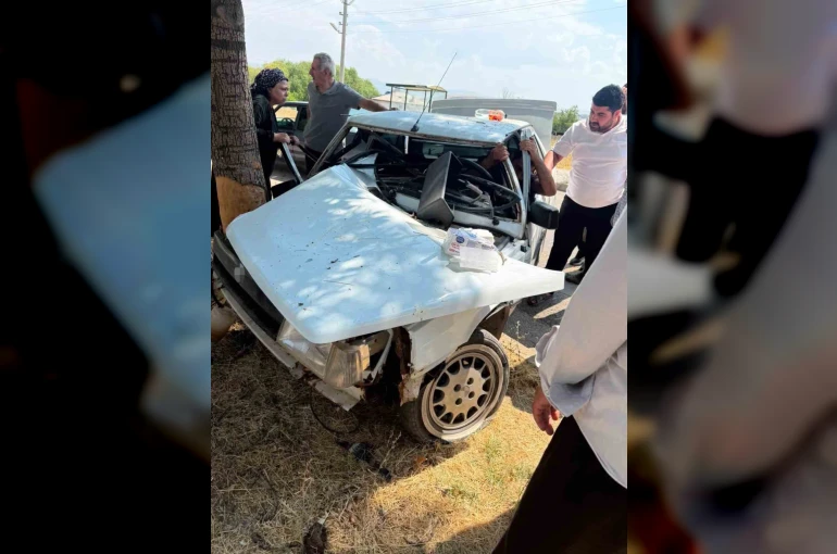 Elazığ’da otomobil ağaca çarptı: 1 yaralı