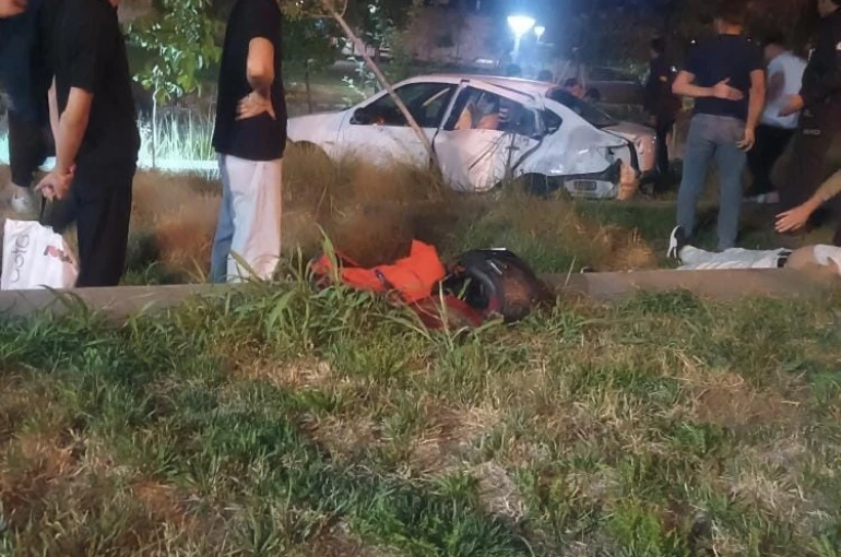 Elazığ’da otomobil Millet Bahçesi’ne girdi: 5 yaralı 