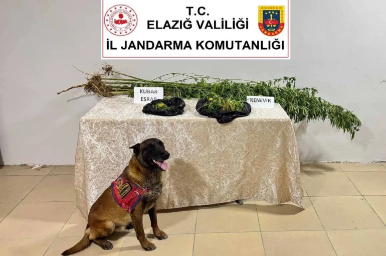 Elazığ’da uyuşturucuyla mücadele