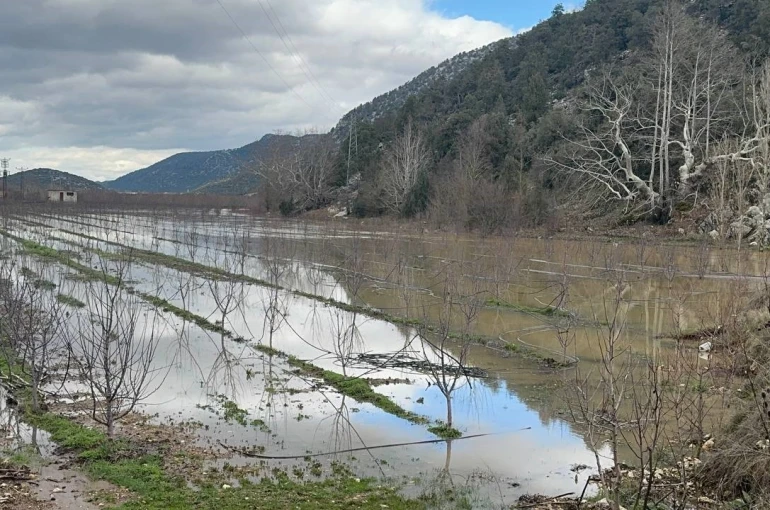 Elmanın başkenti Eğirdir’de yağış bereketi bahçeleri göle çevirdi 