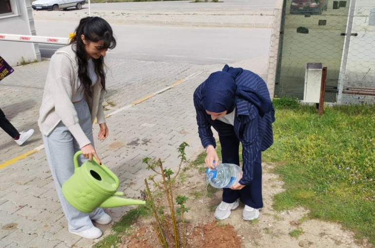 Emet MYO kampüsüne gül fidanı dikimi 