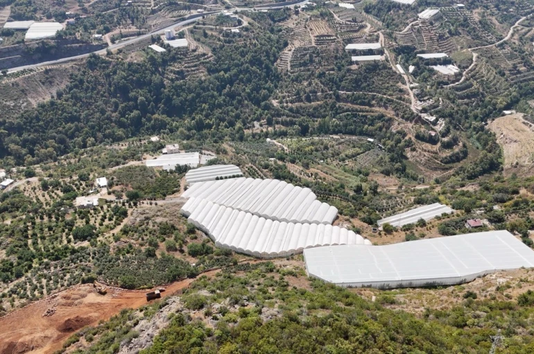 Engebeli arazide tropikal meyve başarısı: 104 dönümlük serada 20’den fazla çeşit meyve yetiştiriliyor