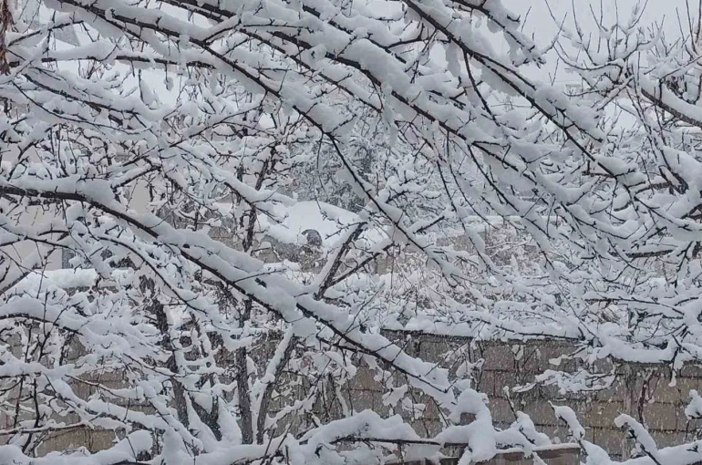 Erciş’te mart ayında kar yağışı 