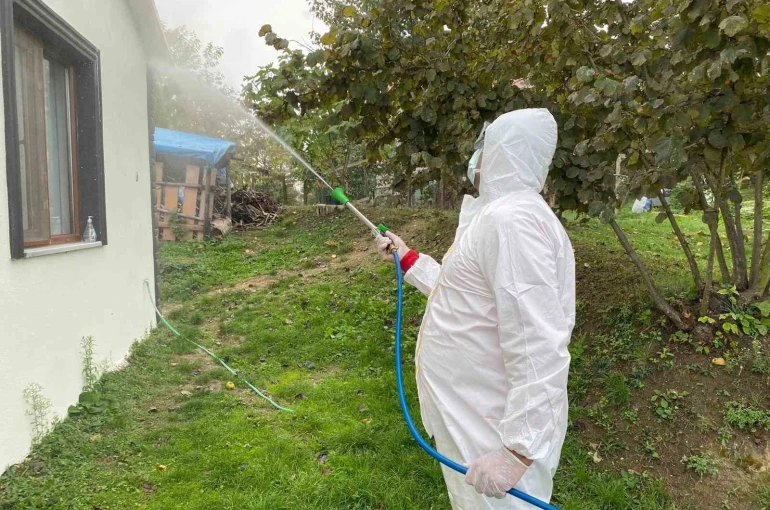 Erenler’de kokarcaya yönelik etkili mücadele sürüyor 