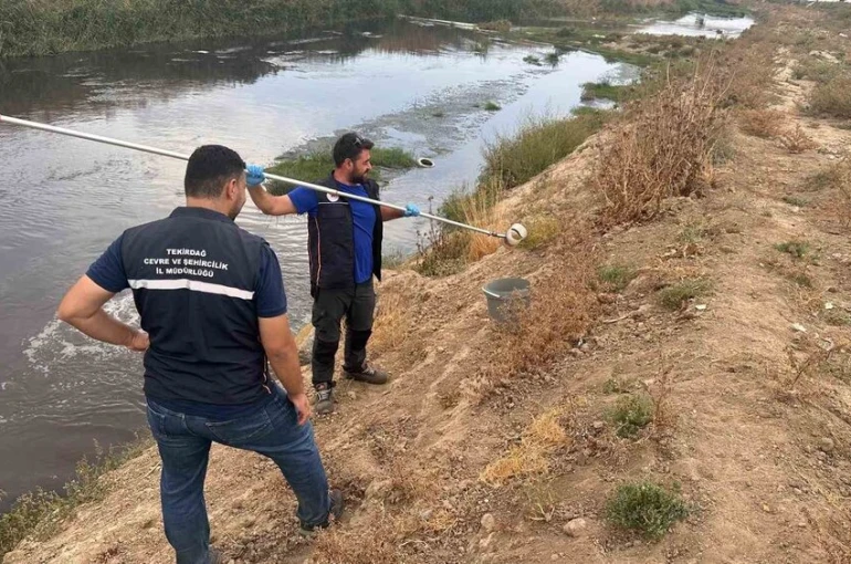 Ergene’de arıtılmadan çaya atık su deşarjı tespit edildi