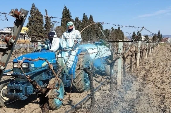 Erzincan Tarım Müdürlüğü’nden bordo bulamacı uyarısı: Uygulama zamanını kaçırmayın 