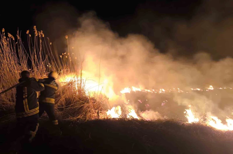 Erzincan’da anız yangını korkuttu 