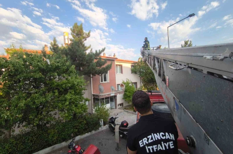 Erzincan’da çatıdaki kedi itfaiye ekiplerince kurtarıldı