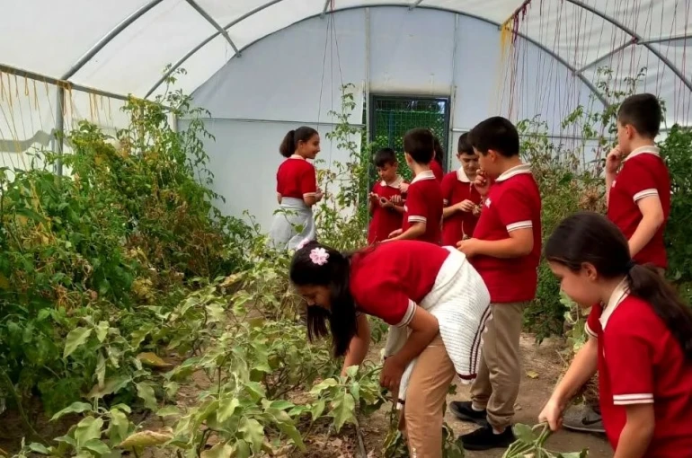 Erzincan’da öğrenciler serada kış sebzelerinin ekimine başladı 