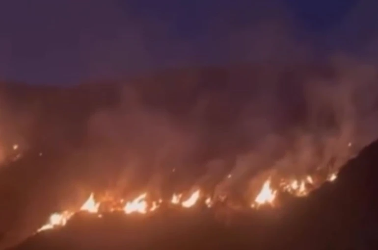 Erzincan’da örtü yangını ormana sirayet etmeden kontrol altına alındı